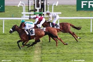 Description : 20/09/2013 - Maisons-Laffitte - Prix de la Frette : Arrive