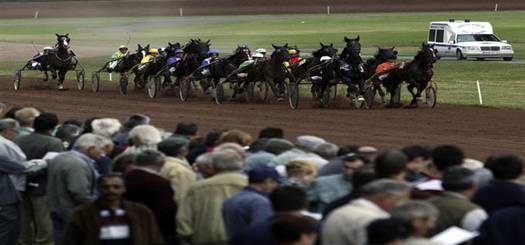 L'incident s'est produit cet apr�s-midi au cours d'une des nombreuses courses de trotteurs organis�es � l'hippodrome / Photo archives Philippe Vacher